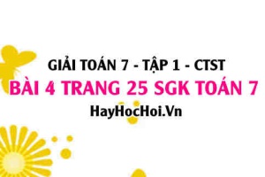 Giải bài 4 trang 25 Toán 7 Tập 1 SGK Chân trời sáng tạo